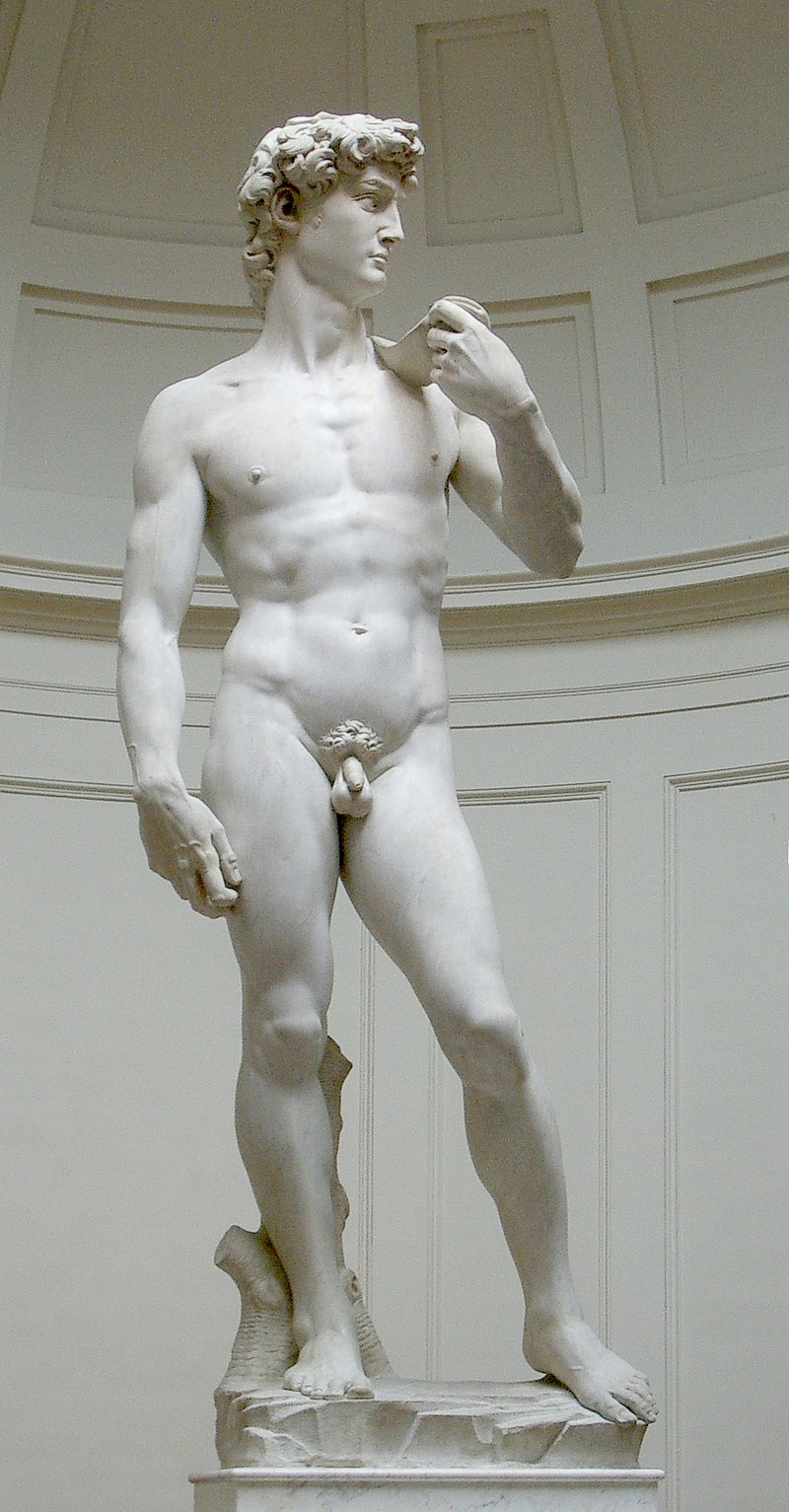 Michelangelo's David Head