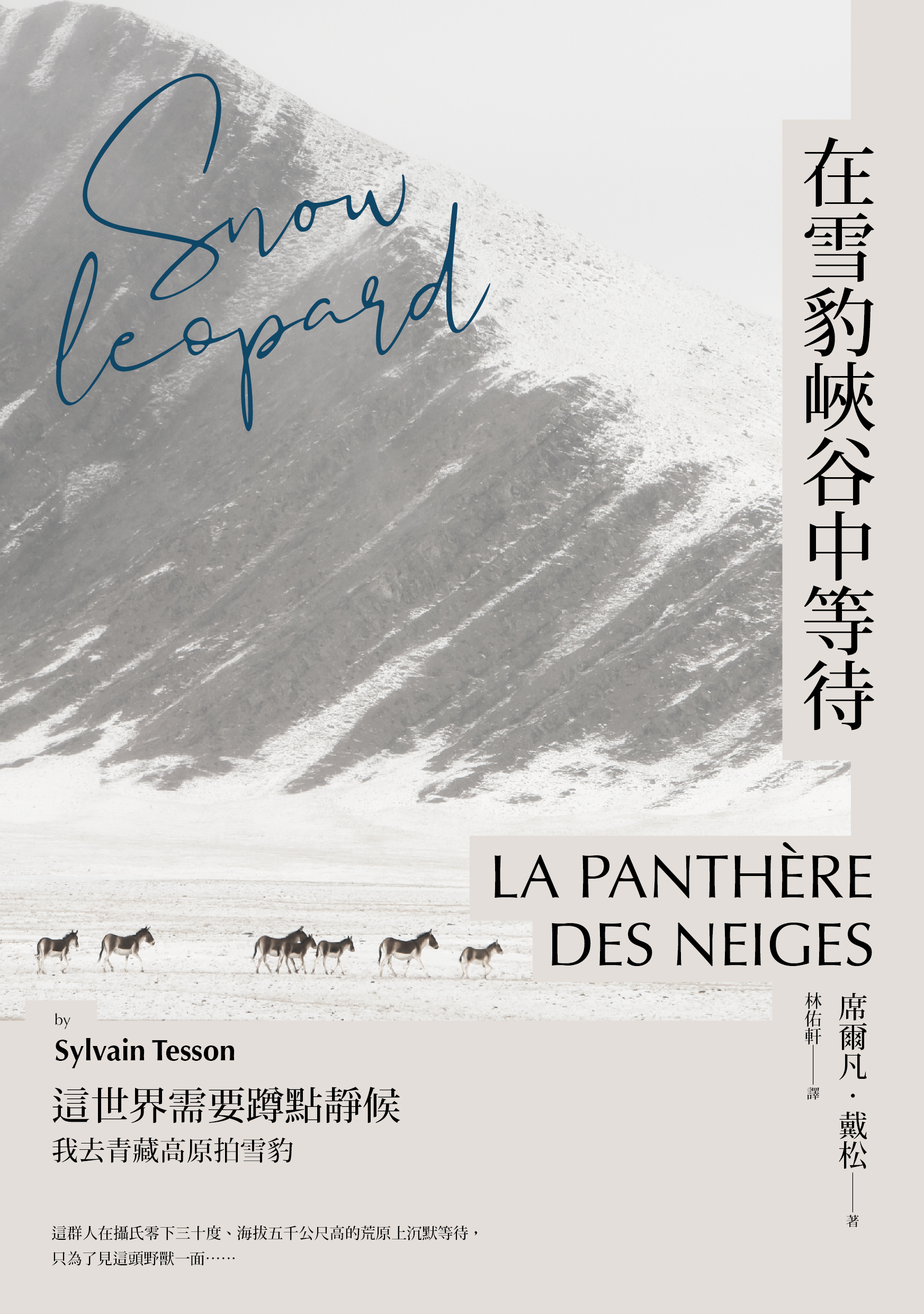 在雪豹峽谷中等待